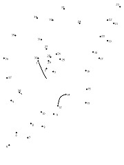 sayıları birleştir resmi tamamla